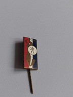 CIEKAWA ODZNAKA WPINKA GWARDIA WARSZAWA SEKCJA BOKS LATA 70 / 80