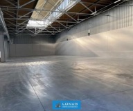 Magazyny i hale, Łódź, Widzew, 830 m²