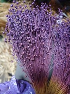 Len naturalny suszony dekoracje zboże susz kwiaty kompozycje ciemny fiolet