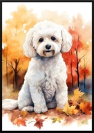 A2 59,4x42 PLAKAT OBRAZ PIES BICHON FRISE BISZON JESIEŃ AKWARELA