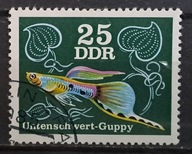 Ryby (kas) - luzak - do uzupełnień 13/6