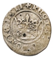 Szeląg koronny Zygmunt I Stary – 1511 – Kraków – srebro – kolekcja prywatna