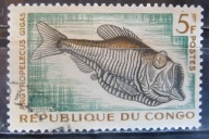 Kongo stary znaczek (1/14