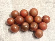 Pomidor Black Opal (493) nasiona kolekcjonerskie