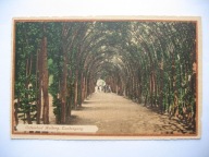 KOLBERG-KOŁOBRZEG PERGOLA przedwojenna POCZTÓWKA