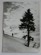 ZWARDON ZACHÓD SŁONCA POD RACHOWCEM