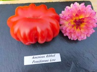 Pomidor American Ribbed karbowana piękność