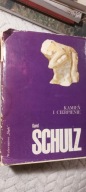 Kamień i cierpienie Schulz, Michał Anioł, biografia, renesans