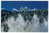 Pocztówka Stany Zjednoczone Góry Skaliste Longs Pe