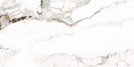 FANTASTIC ONE SATYNA/CARVING REKT PROCERAMIKA 60*120 G1 m2 zamów
