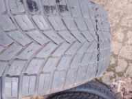 1szt. BRIDGESTONE Weather Control A005 evo 205/55R16 94V XL 21r. 6mm