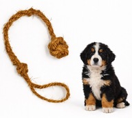 GRYZAK SZARPAK XL 45cm z włókna kokosowego dla psa