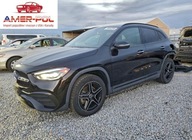 Mercedes-Benz GLA 250 4Matic 2023 2.0 Benzyna 221KM