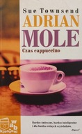 Adrian Mole Czas cappuccino Sue Townsend