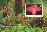 Jersey 2004 ** cena 9,90 zł kat.6€ - flora, storczyki