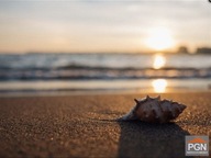 Działka, Rewal, Rewal, Gryficki, 500 m²