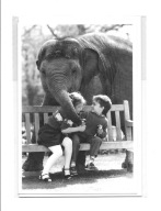 Karnet - Dzieci na ławce i psotny słoń / lody w rożku ...