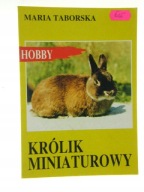 Królik miniaturowy Maria Taborska