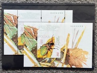 Nowodruki A+B Owady Pożyteczne. Biegacz wręgaty NUMER