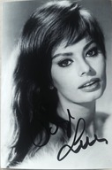 SOPHIA LOREN - zdęcie z autografem
