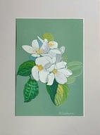 kwiaty wiosenne gałązka z kwiatami wiosna pory roku akwarela na papierze