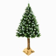 CHOINKA NA PNIU SOSNA DIAMENTOWA 180 CM OŚNIEŻONA GĘSTA JAK ŻYWA