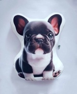 Piesek przytulanka buldog buldożek francuski 30cm, poduszka kształtka