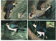 9-GH11- Sierra Leone-WWF,1994, Ptaki egzotyczne