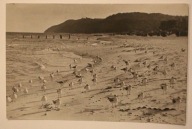 MIĘDZYZDROJE. Parada mew. Seagulls on the Baltic shore, STARA