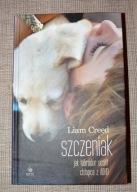 Szczeniak. Jak labrador ocalił chłopca z ADHD