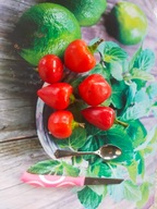 Pomidor Słodkie serduszko słodziutki koktajlowy