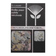 Rośliny pnące Cisus hoja filodendron M . Czekalski i 86 roślin pokojowych