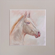 koń albinos portret konia rasy Samurai Shah akwarela na papierze