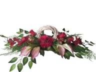 Stroik Cmentarz Kalie hortensja czerwień płożący