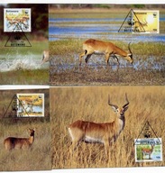 A45112)WWF-Maximum Karty Ssaki: Botswana 431 - 434