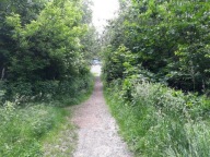 Działka, Ruda Śląska, 2590 m²