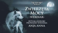 Akademia Magii " Zwierzęta Mocy " Webinar + Rytuał