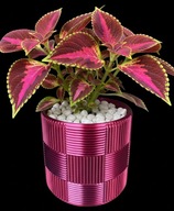 Doniczka Różowa Osłonka Dekoracyjna Ozdobna doskonała do Koleusa Storczyka