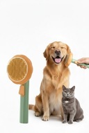 Grzebień dla kota domowego szczotka do sierści psa czesanie