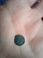Denar Elbląg Zygmunt II August