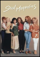 A2 PLAKAT FILMOWY FILM STALOWE MAGNOLIE FILM STEEL MAGNOLIAS (1989)