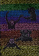 Plakat Stworki wydruk na papierze A3 Teresa Kazimierczak