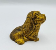 jamniczek błagalnie patrzy pewnie na swojego pana