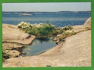 MALARSTWO NA POCZTÓWCE . DRZEWA,TRAWY.KWIATY.