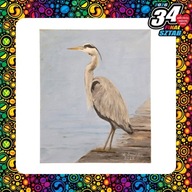 Obraz Wiesławy Sawickiej - "Czapla siwa na pomoście", 50x60