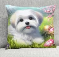 Poduszka 40/40cm Maltańczyk Maltese