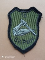 10 Brygada Kawalerii Pancernej