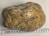 Skamieliny koralowce minerały