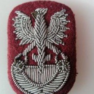 Odznaka orzełek to co na foto 6 PDPD desant