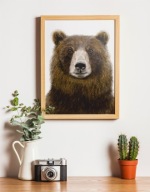 PLAKAT A3 NIEDŹWIEDŹ las zwierzę leśne MONTESSORI